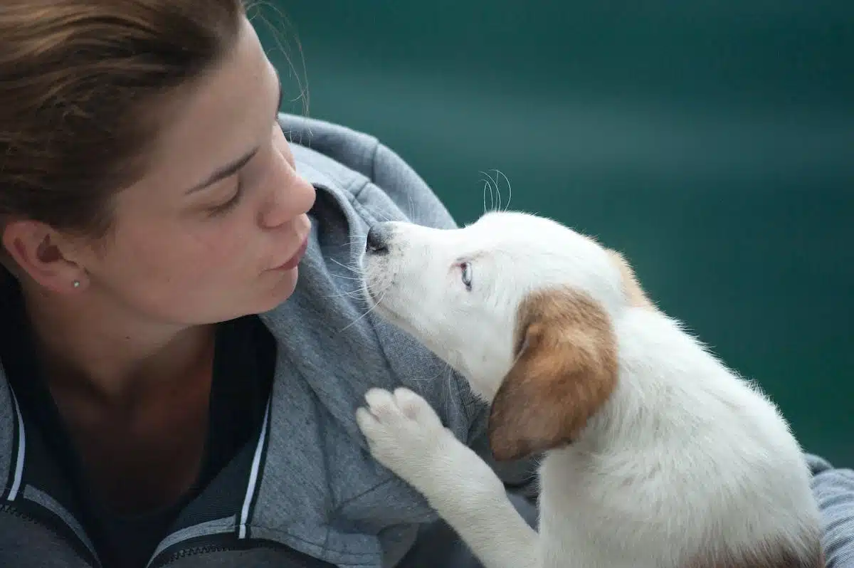 animaux soutien