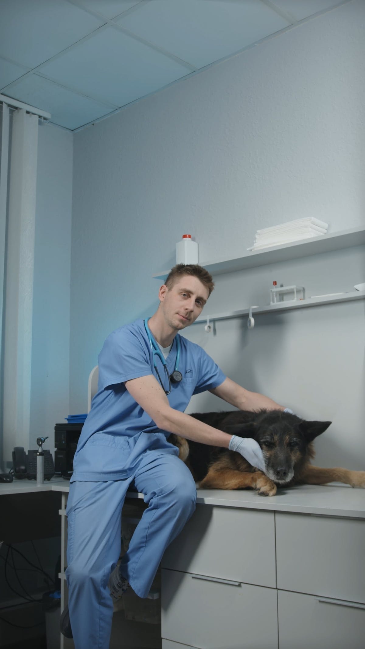 recherche animale