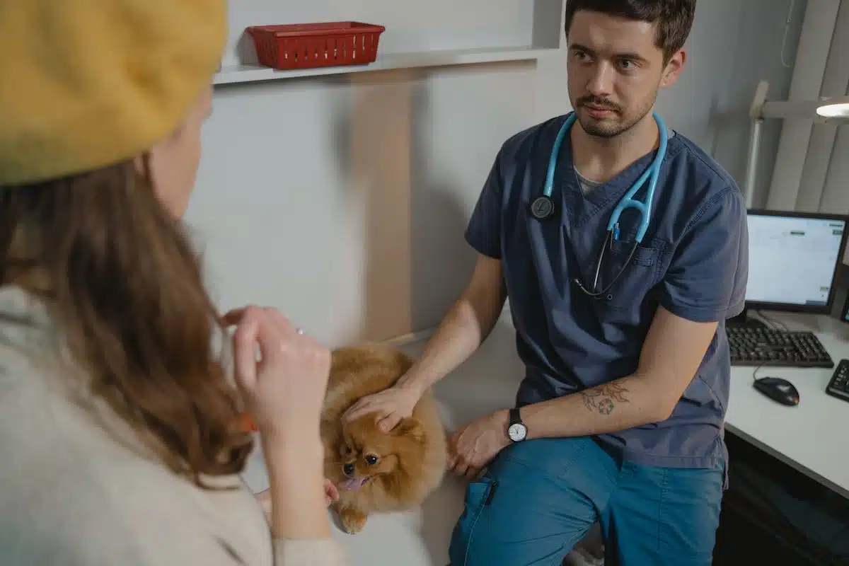 médecine vétérinaire