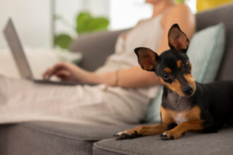 Partir en vacances sans angoisser pour son animal : le home-sitting, ça change tout